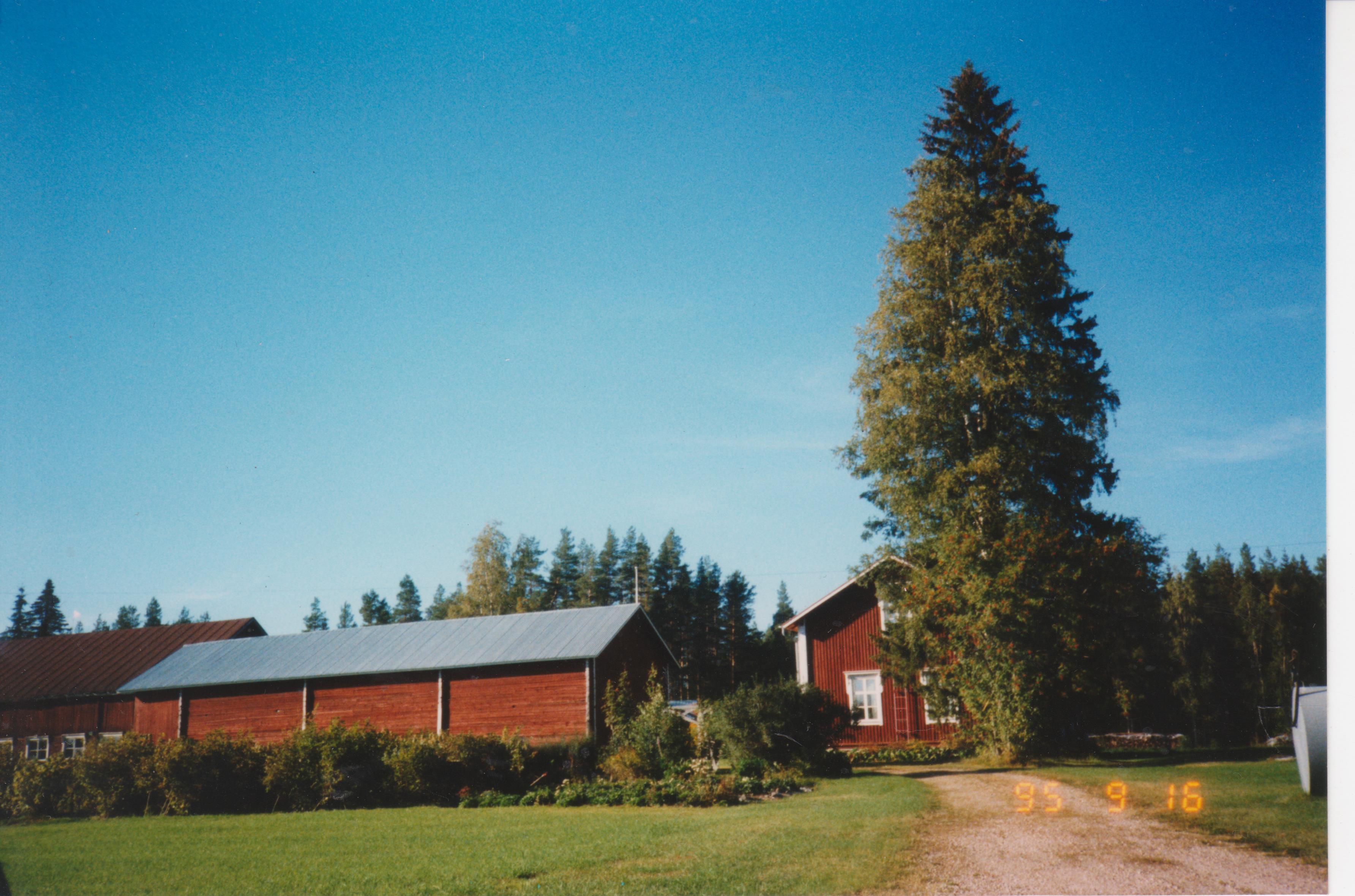 Ruiskun talo Sarjankylällä 1965